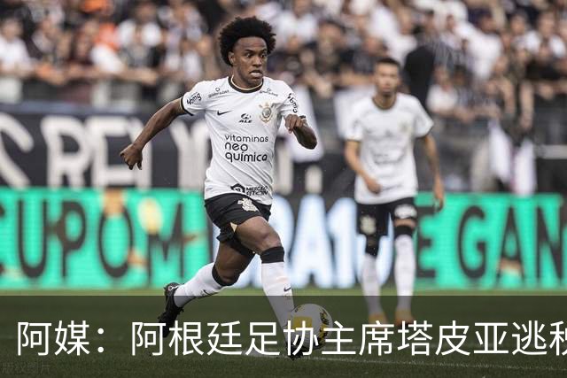 阿媒：阿根廷足协主席塔皮亚逃税上诉被驳回，确认将被起诉